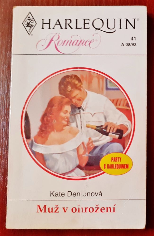 Muž v ohrožení / Romance 41 A 08-93