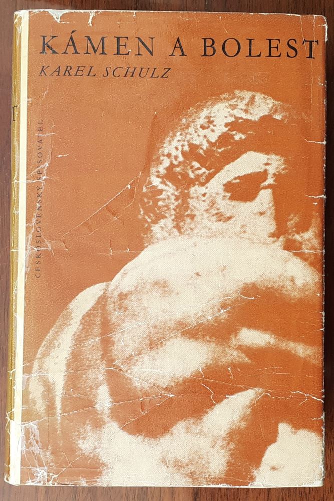 Kámen a bolest / Michelangelo Buonarroti