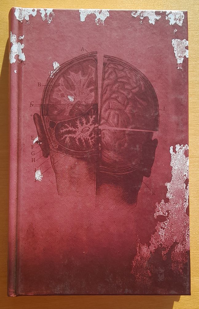 Hypnosova socha / o reinkarnácii