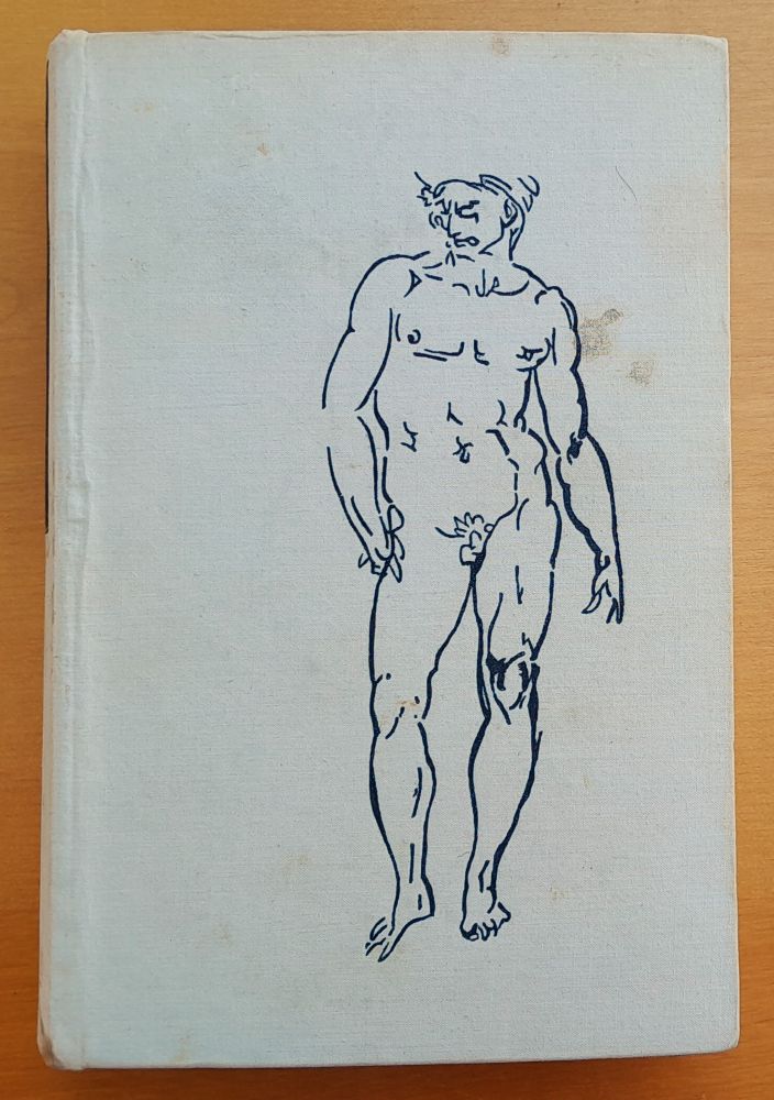 Kameň a bolesť / Michelangelo Buonarroti