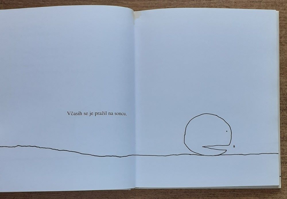 Manjkajoči Košček