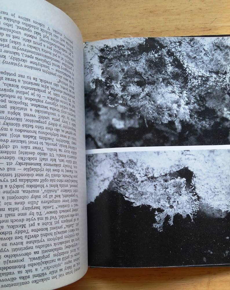 Potápači na koralových útesoch / Svetom