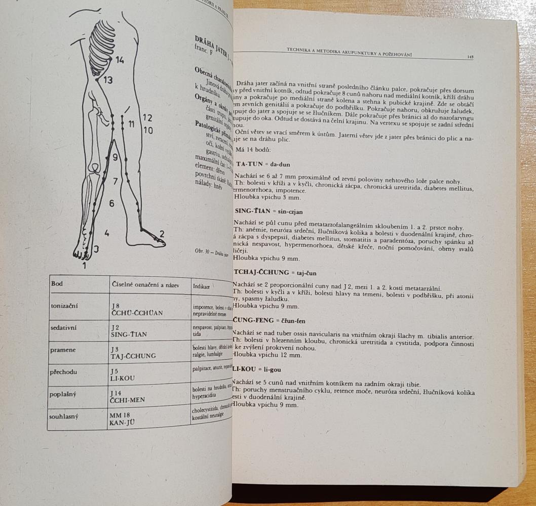 Akupunktura v teorii a praxi