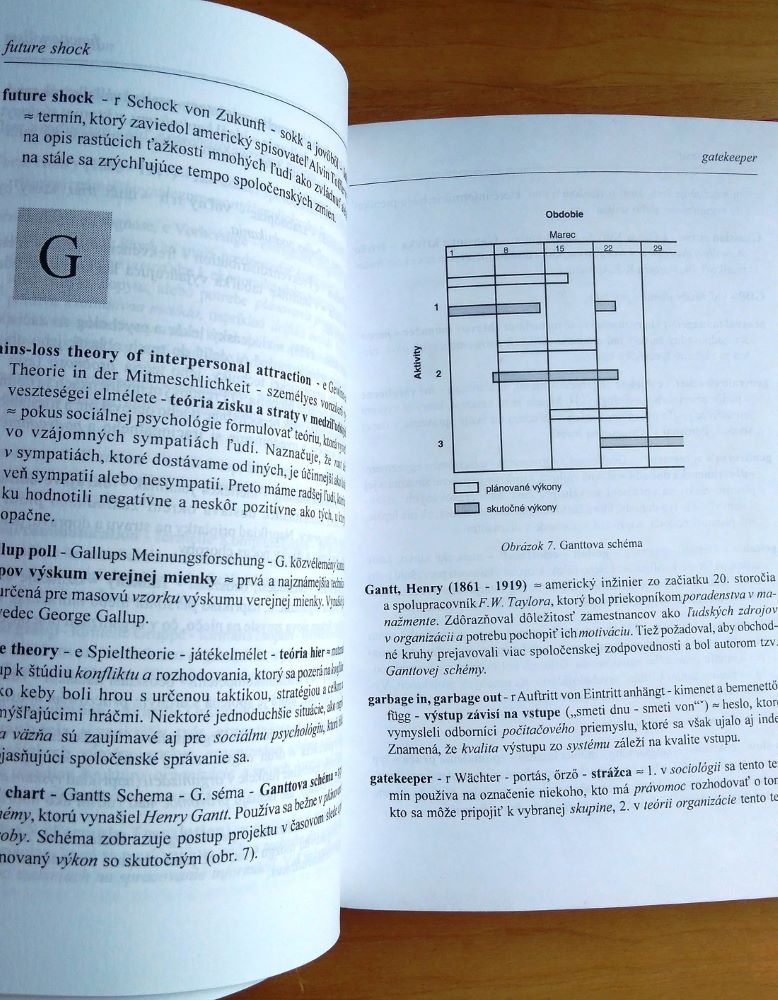 Anglicko–nemecko–maďarsko–slovenský slovník manažmentu so slovenským výkladom