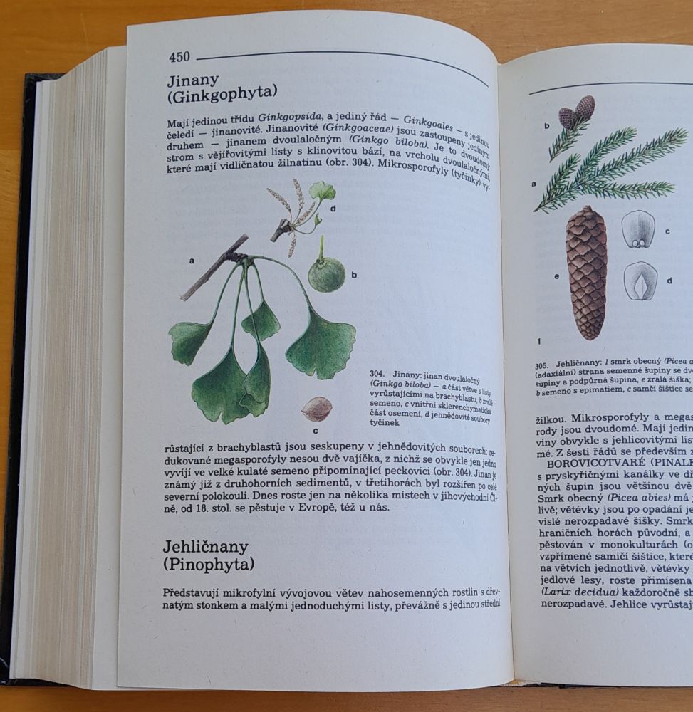 Přehled biologie