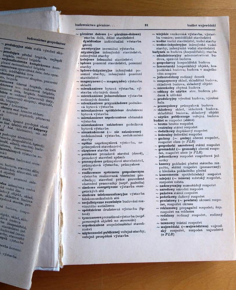 Polsko český ekonomický slovník
