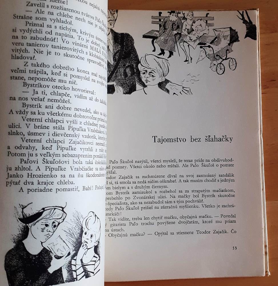 Chlapček Husia koža a Ryšavé mesto