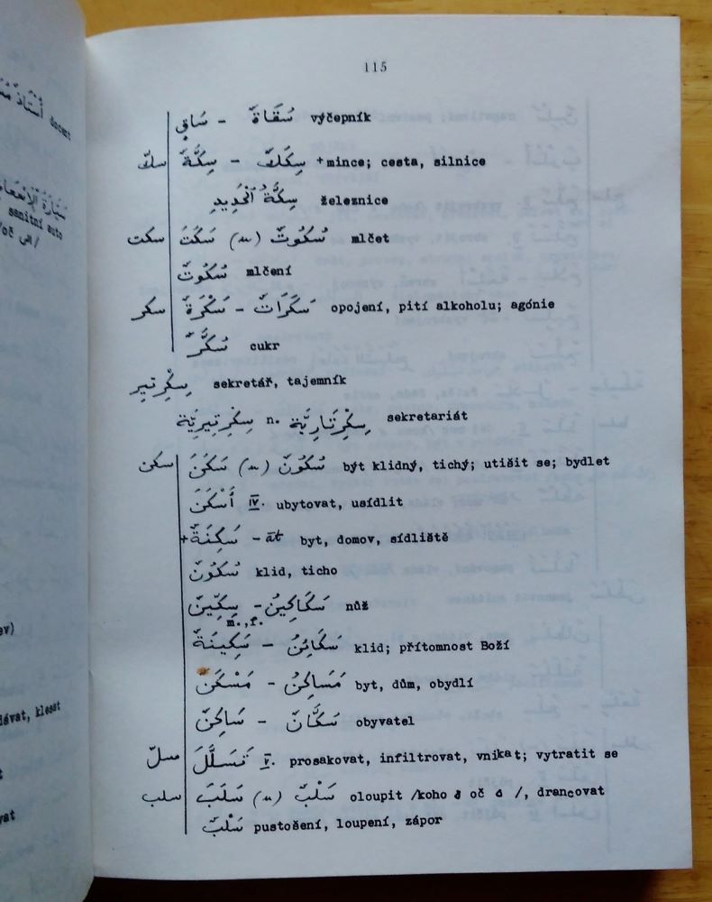 Arabsko český, česko arabský slovník