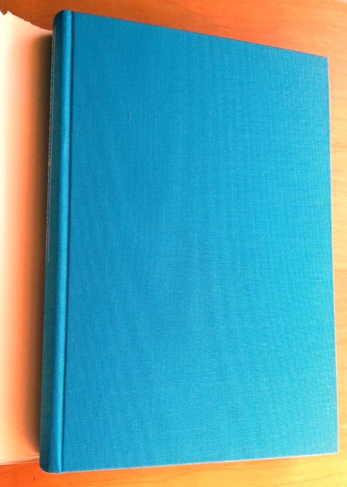 Studien zum Beginn der modernen Welt