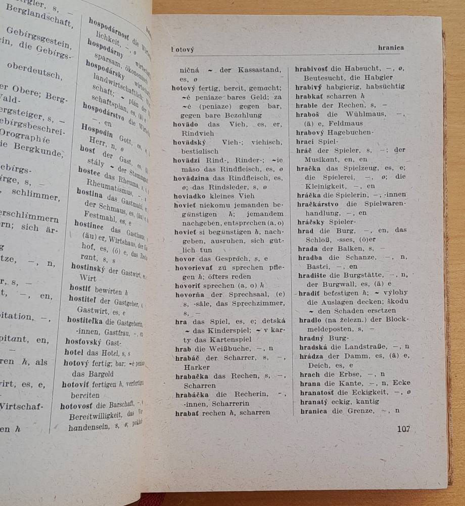 Slovensko-nemecký slovník / Slowakisch-deutsches Worterbuch
