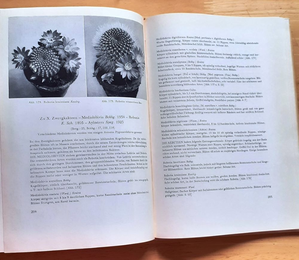 Freude mit Kakteen - Radosť s kaktusmi 