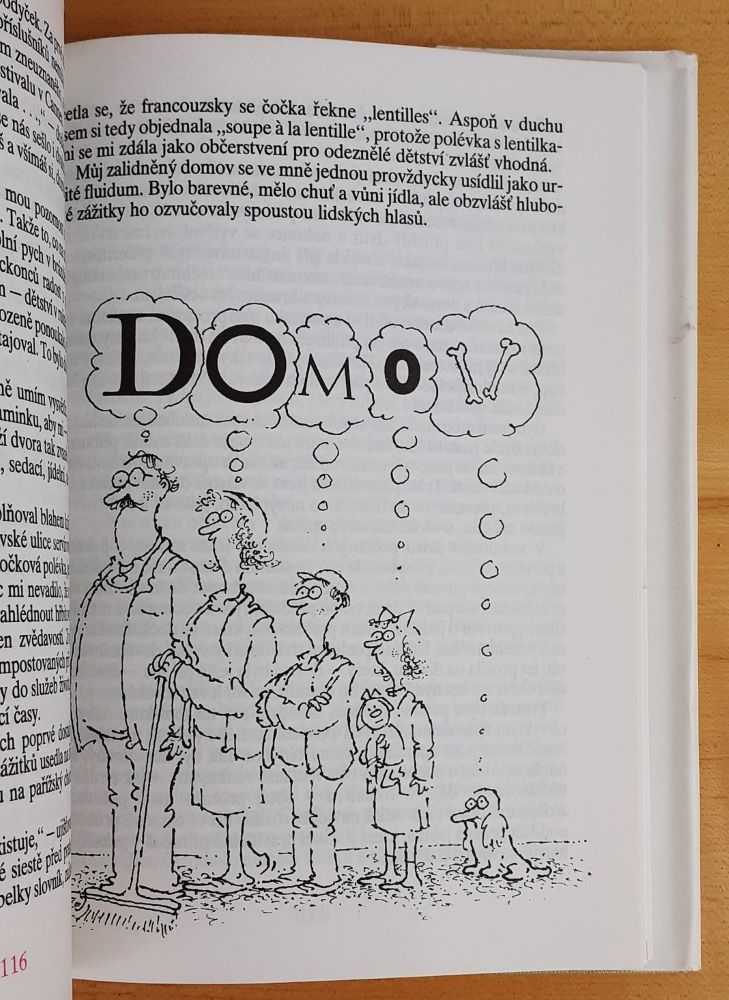 Domovní dúvěrnosti