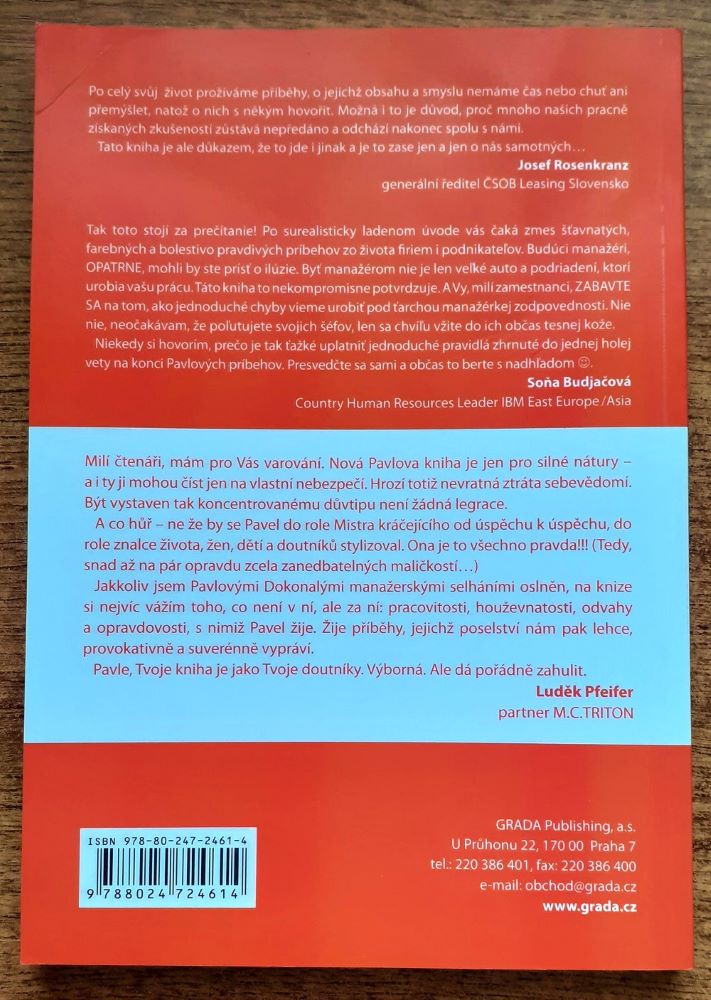 Dokonalá manažerská selhání / Neobyčejná řešení obyčejných problémú