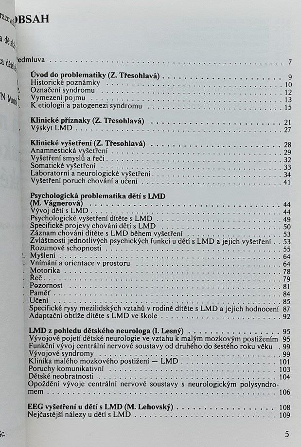 Lehká mozková dysfunkce v dětském věku