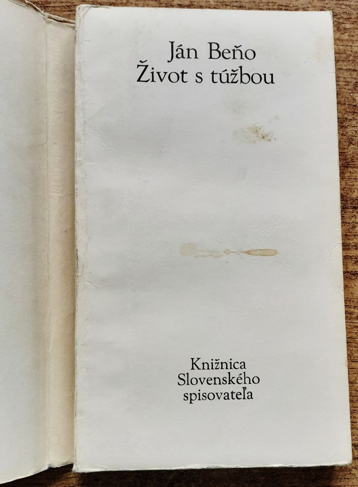Život s túžbou