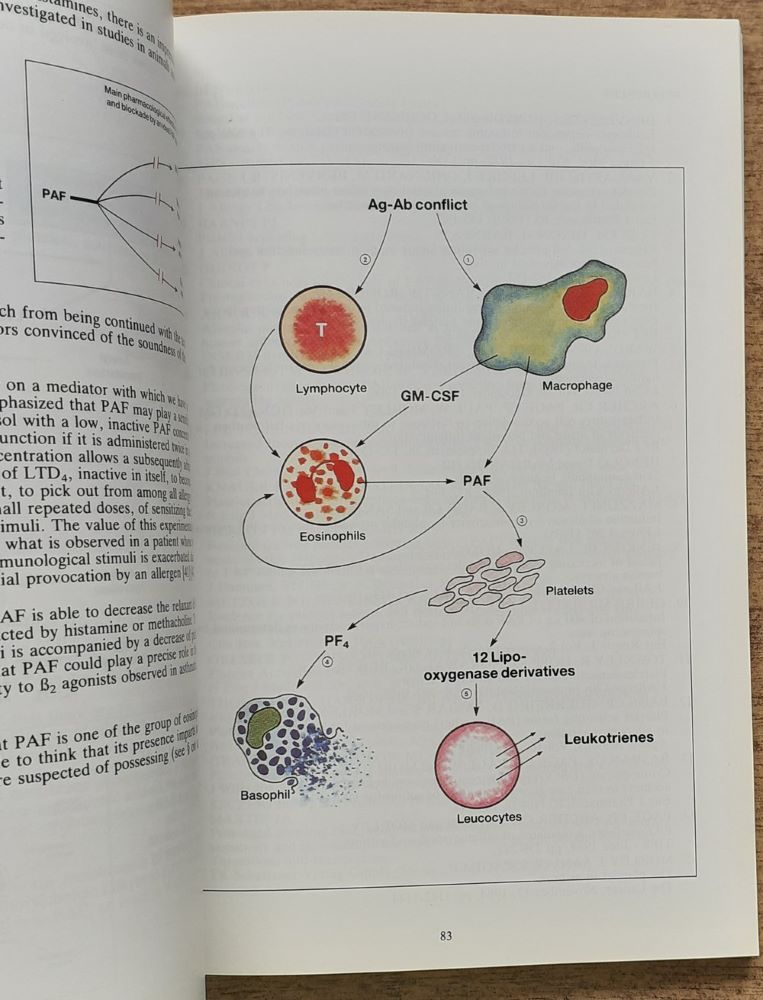 The allergic reaction (Alergická reakcia)