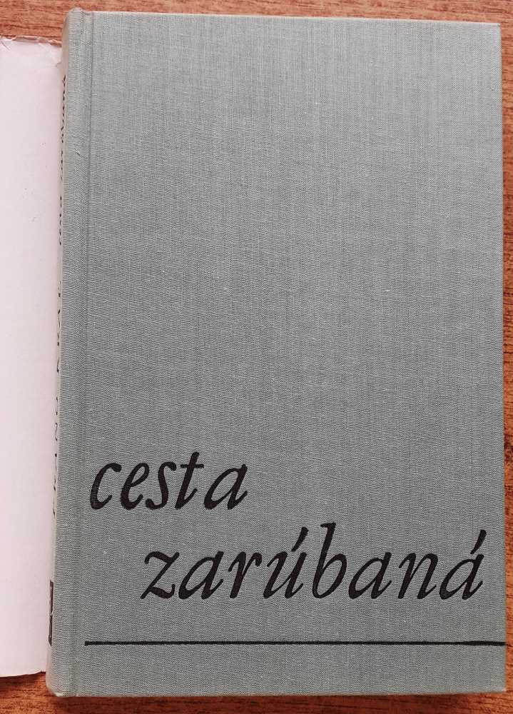 Cesta zarúbaná