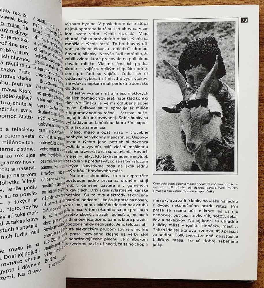 Človek a zvieratá