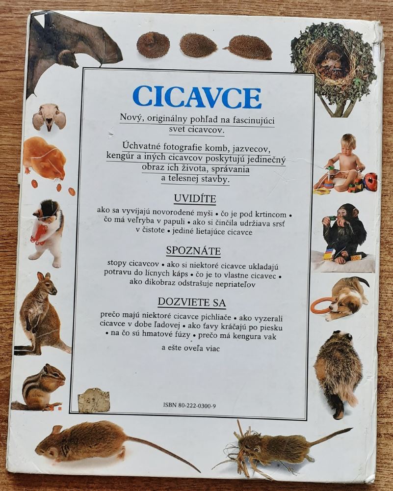 Cicavce