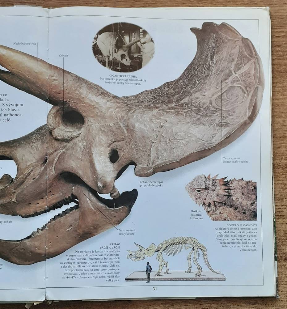 Dinosaury / David Norman / Angela Milner