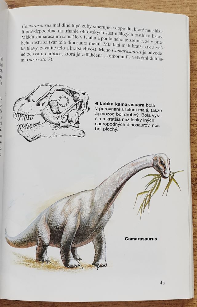 Dinosaury, malá kniha
