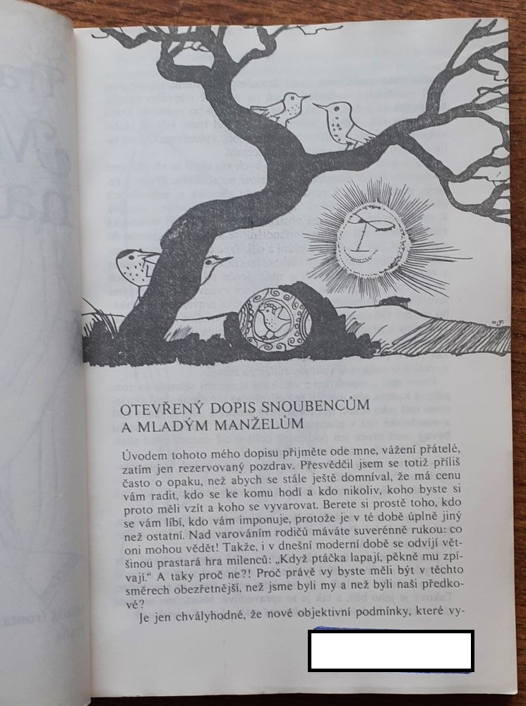 Manželství na zkoušku 
