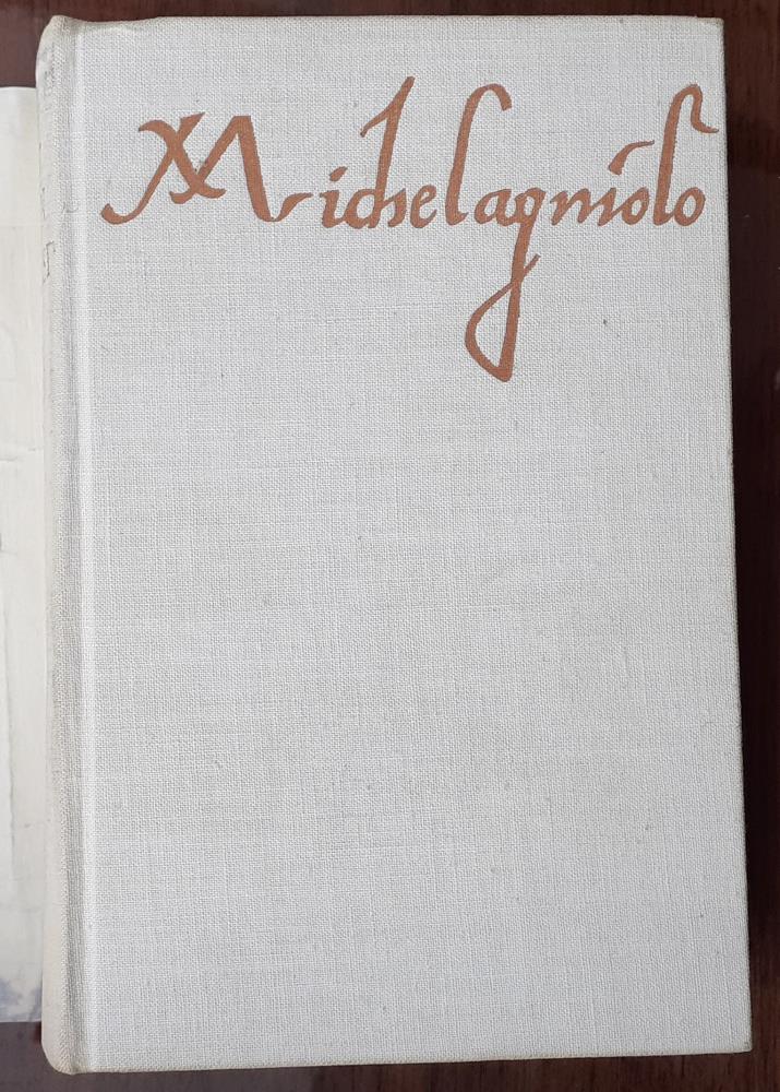 Kámen a bolest / Michelangelo Buonarroti