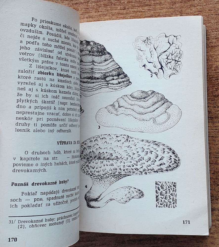 Botanik / Odznak odbornosti