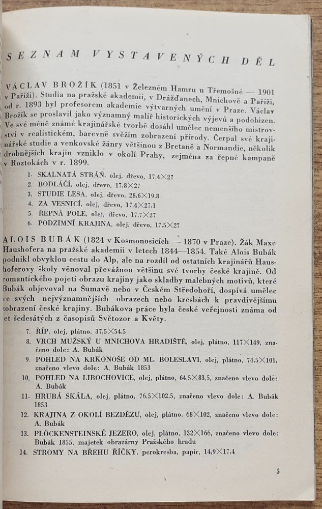 Česká krajina XIX. století