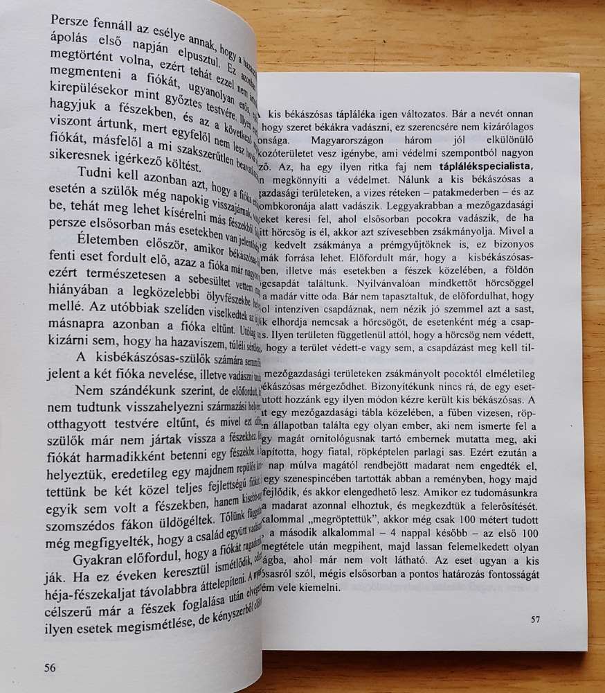 Gyakorlati Ragadozómadár-Védelem