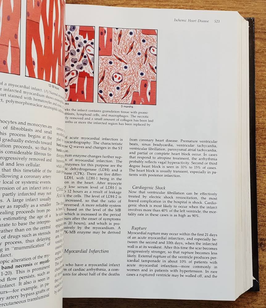Pathology (Patológia)