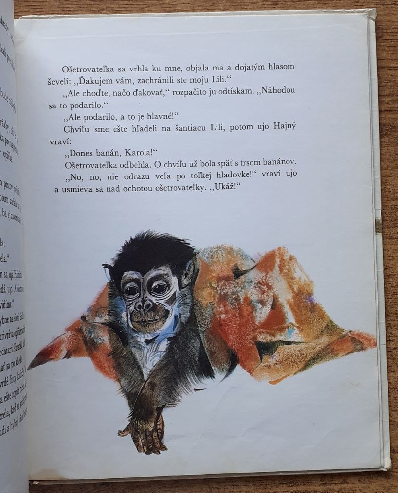 Ako som krstil medveďa