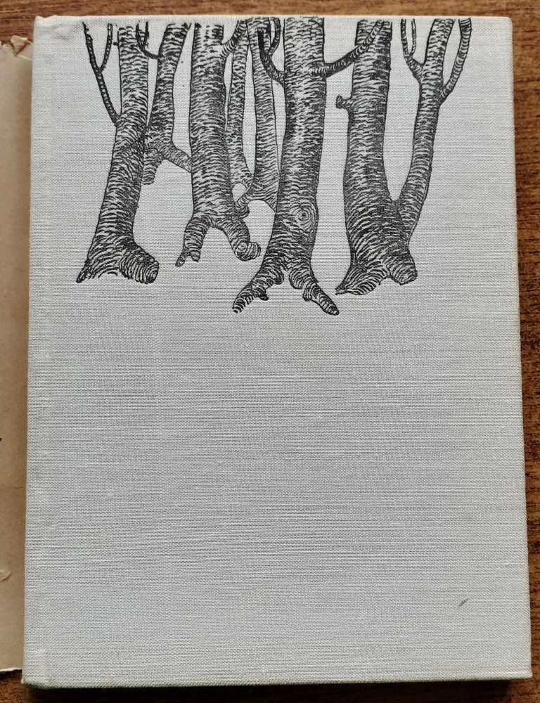 Chlapec a vták ohnivák