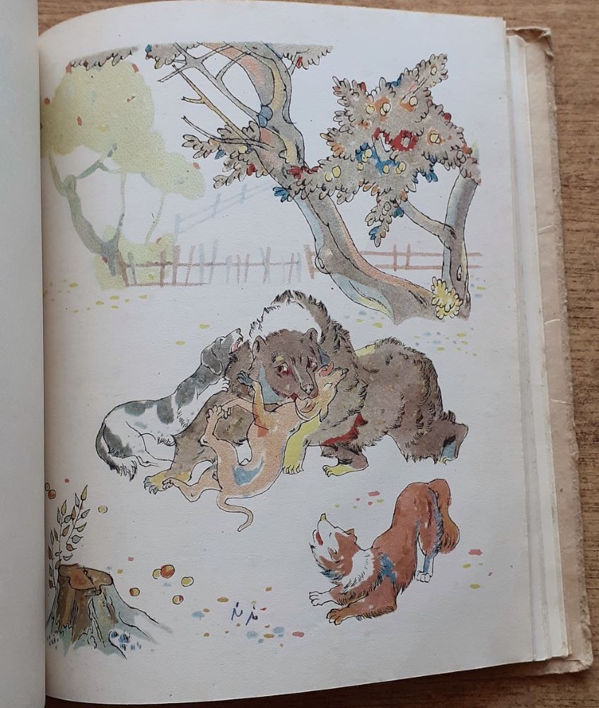 Turul / Kráľ karpatského pralesa 