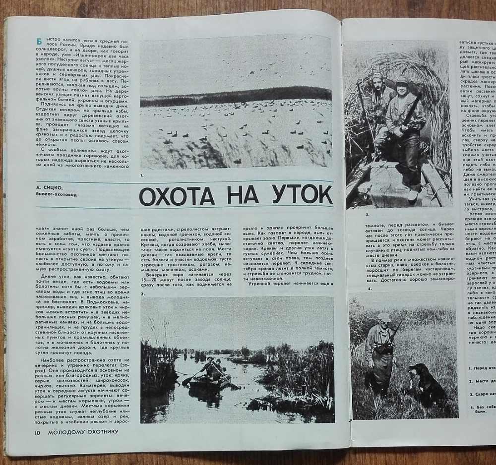 Ochota i ochotničje chozjaistvo 8/1989