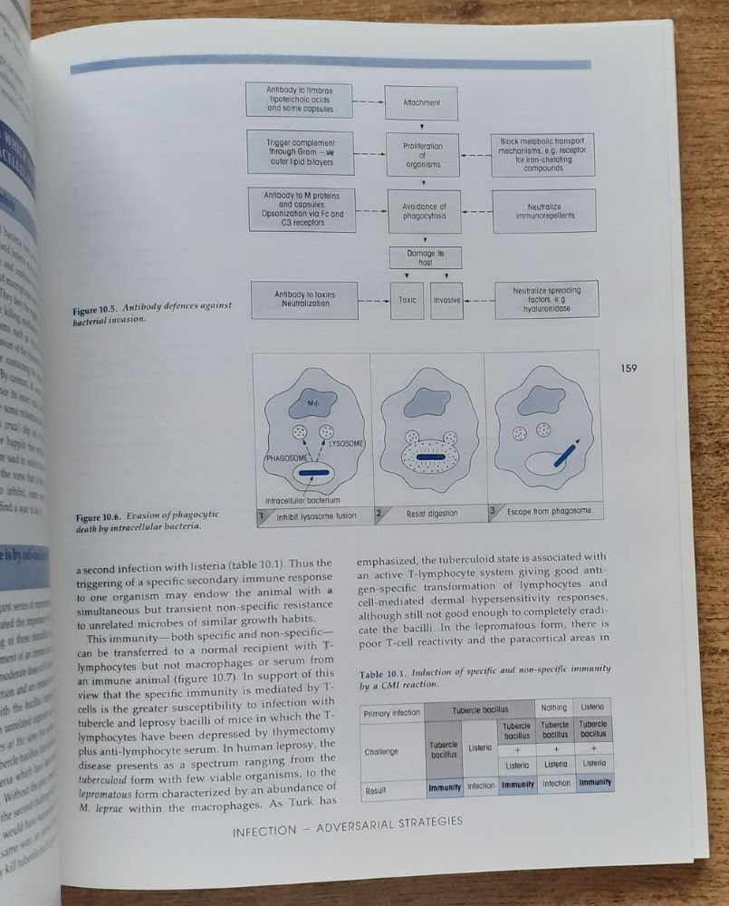 Essential immunology / Sixth edition