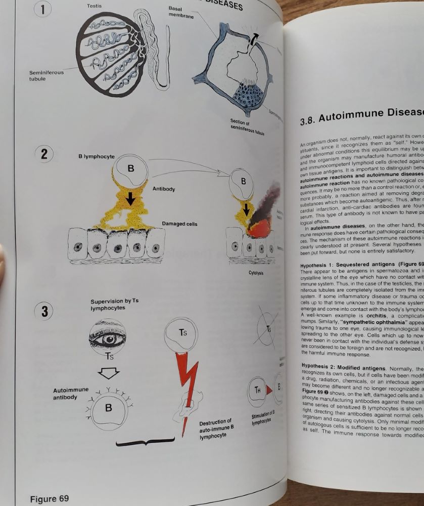 Atlas of immuno-allergology / An Illustrated Primer for Health Care Professionals