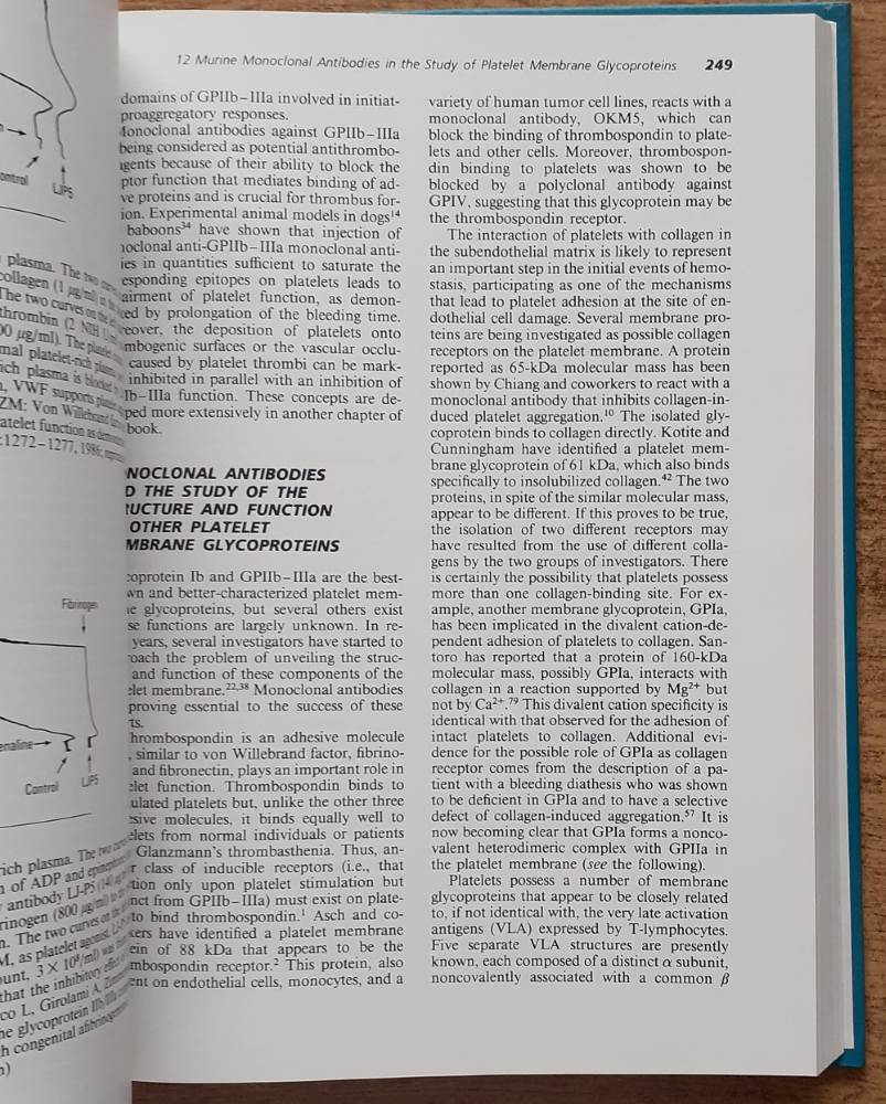 Platelet immunobiology / Molecular and clinical aspects