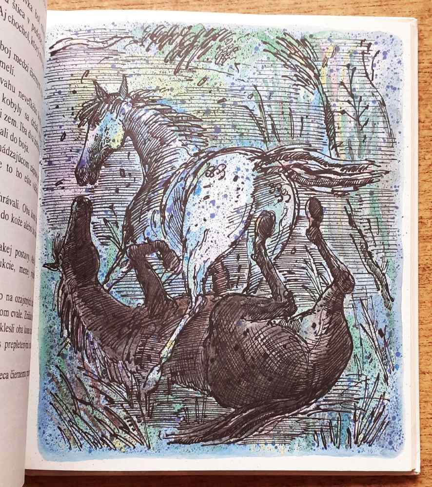 Bielohrivko / Klub mladých čitateľov