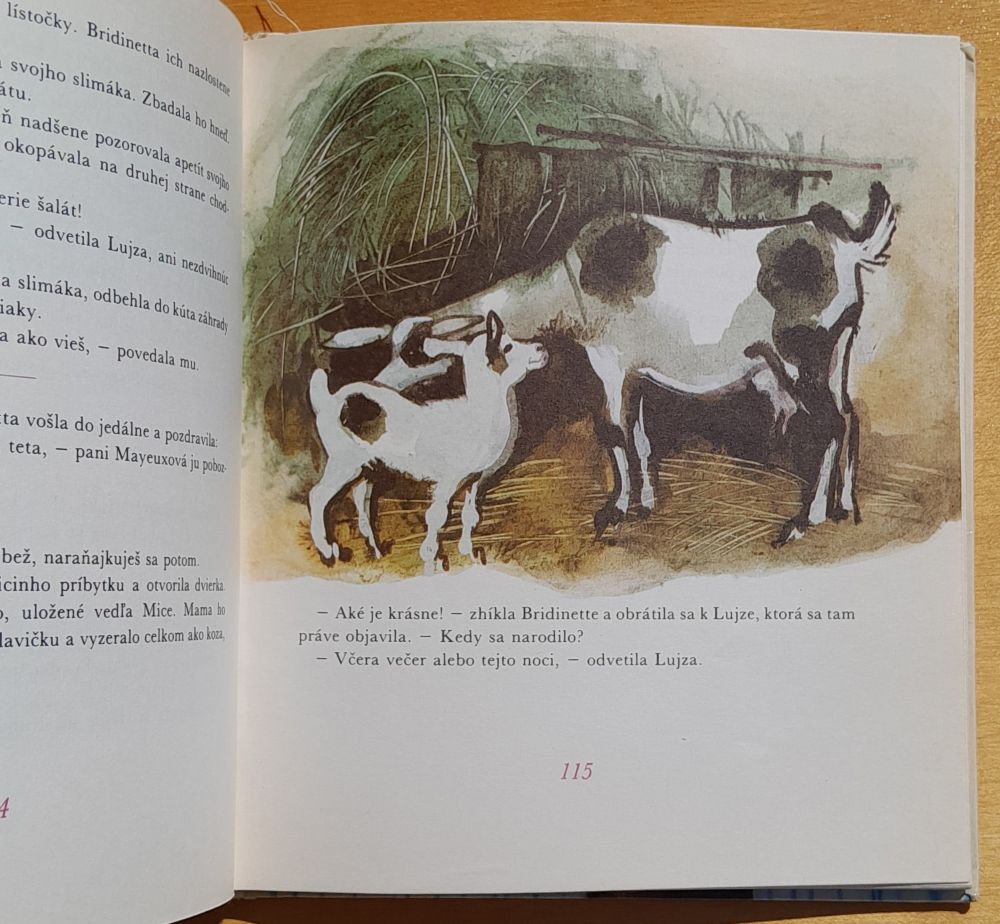 Dievčatko Bridinetta / KMČ