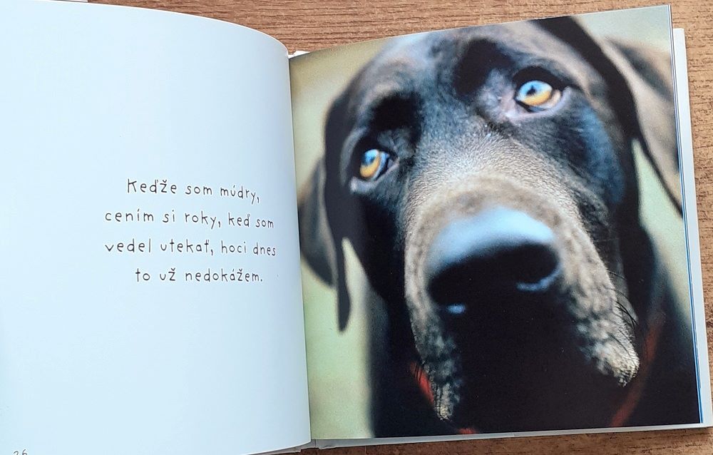 Keby psy rozprávali 