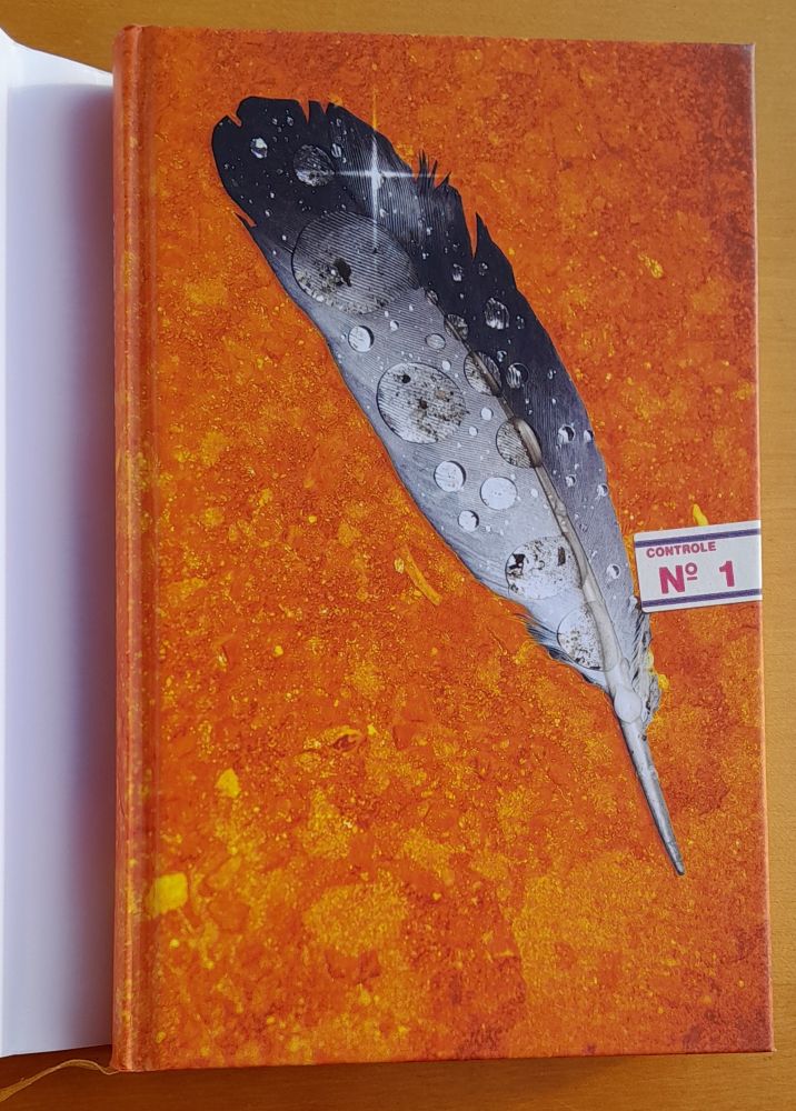 Po vtákoch / Výber z Páleníc