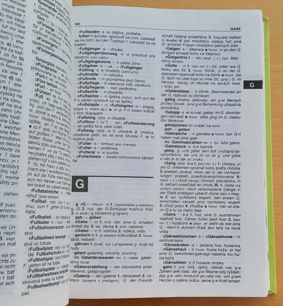 Nemecko - slovenský / slovensko - nemecký slovník