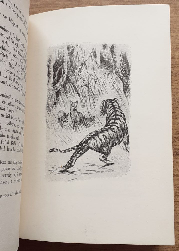 Kniha džungle / 3. vydanie