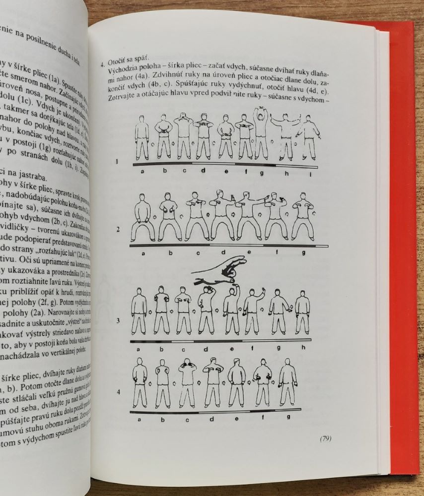 Natural Wing Chun Kung Fu / Edícia Bojové umenia