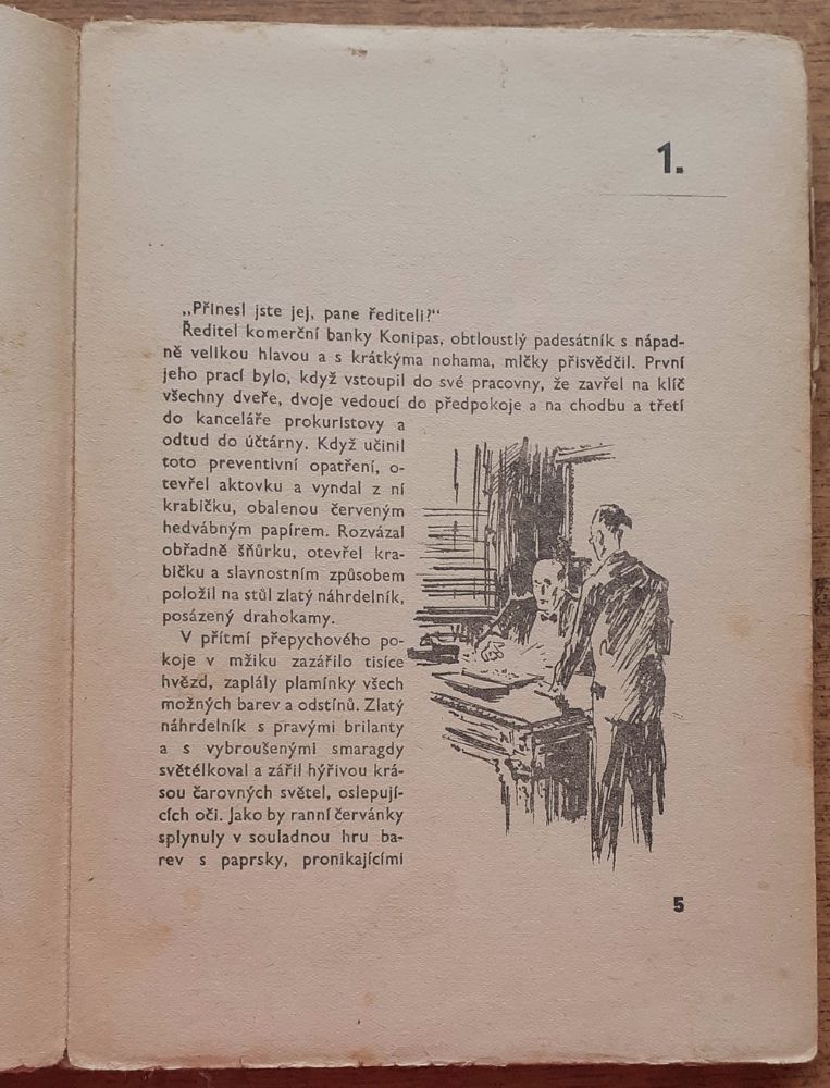 Inspektor Vaněk / Detektivní historie policisty