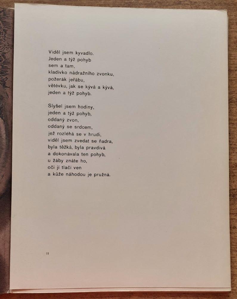 Kam létají labutě