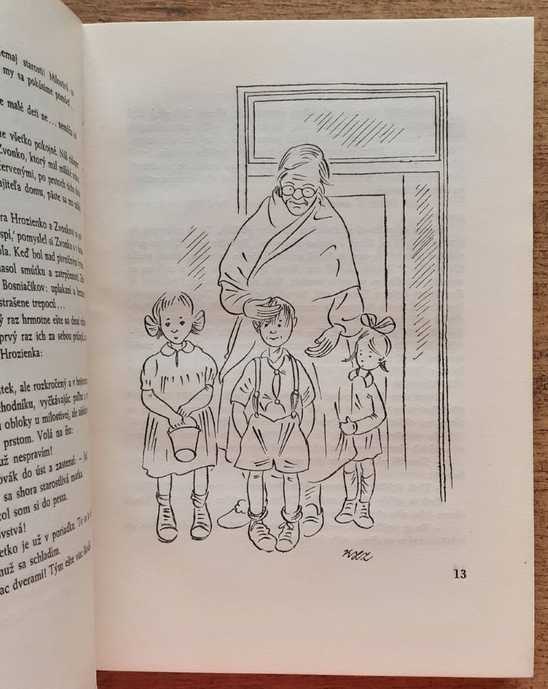 Nepriateľ číslo 1 / Román pre mládež / Knihy pre mládež sväzok 18.