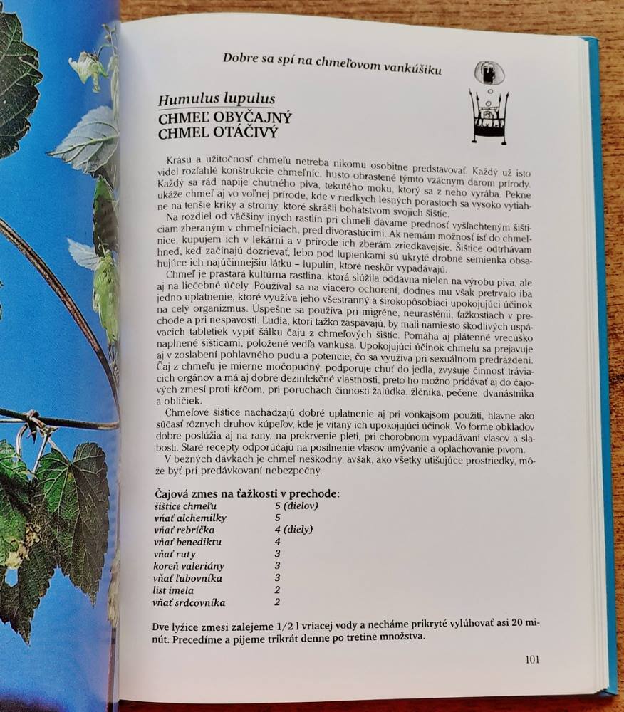 Babkine bylinky / Sprievodca našimi liečivými rastlinami