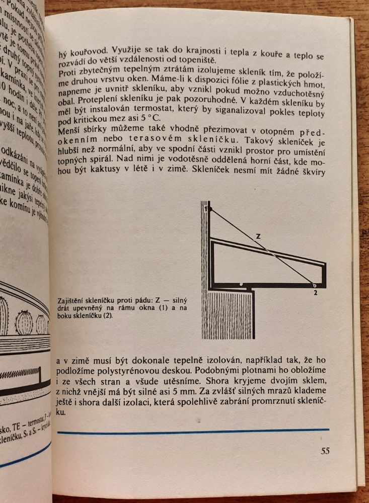 Pěstování kaktusú / Rostlinná výroba